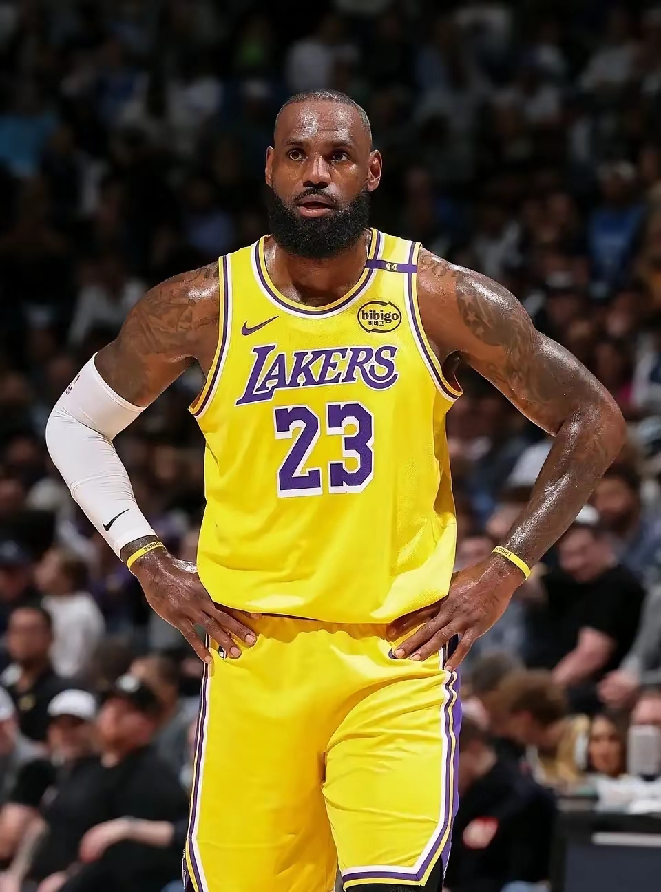 里程碑夜！洛杉矶湖人状态回暖，意大利杯集结日刷纪录，信心回归，纪律约束更严格的简单介绍